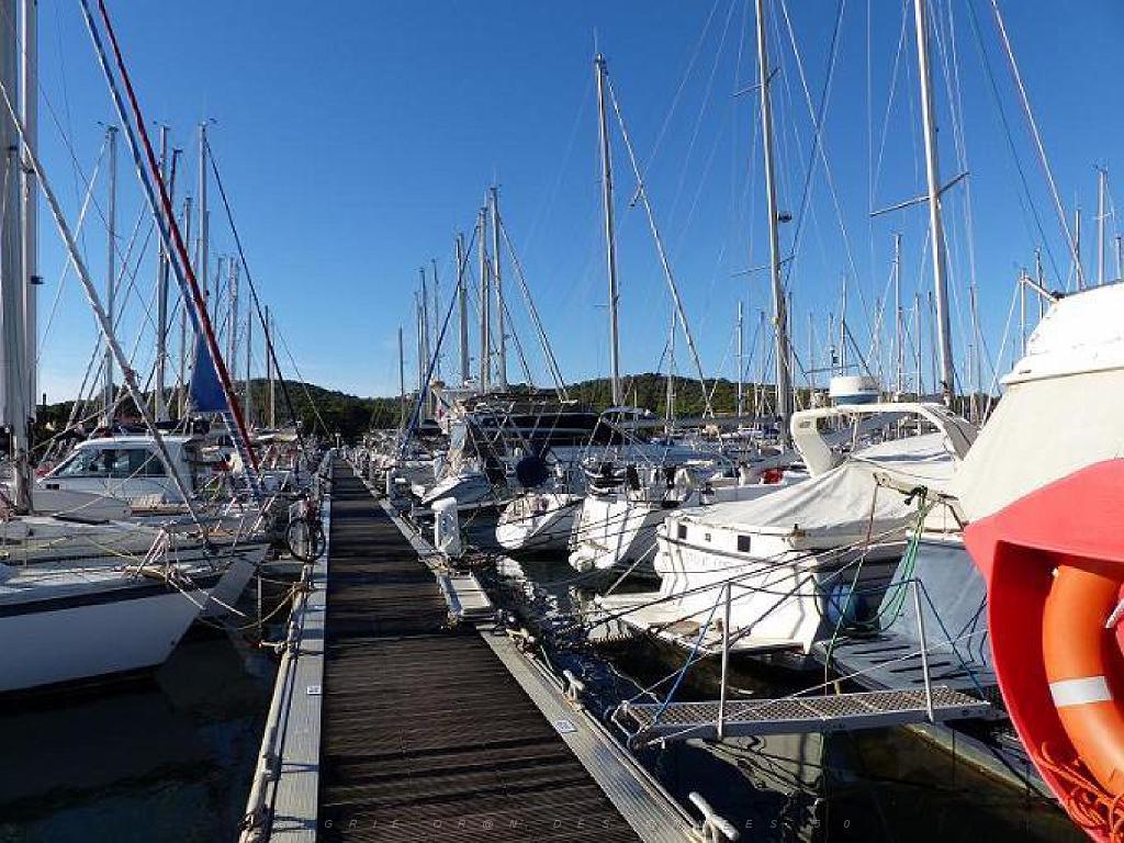 183 ILE DE PORQUEROLLES -1_000021.jpg